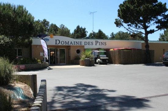 domainedespins